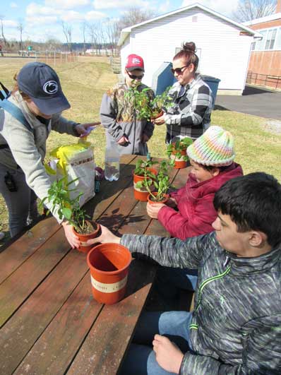 Special education students and teachers work on a STEAM project with plans outside their school. 