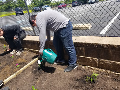 A special education studnets waters plants as part of a STEAM project outside of his school.