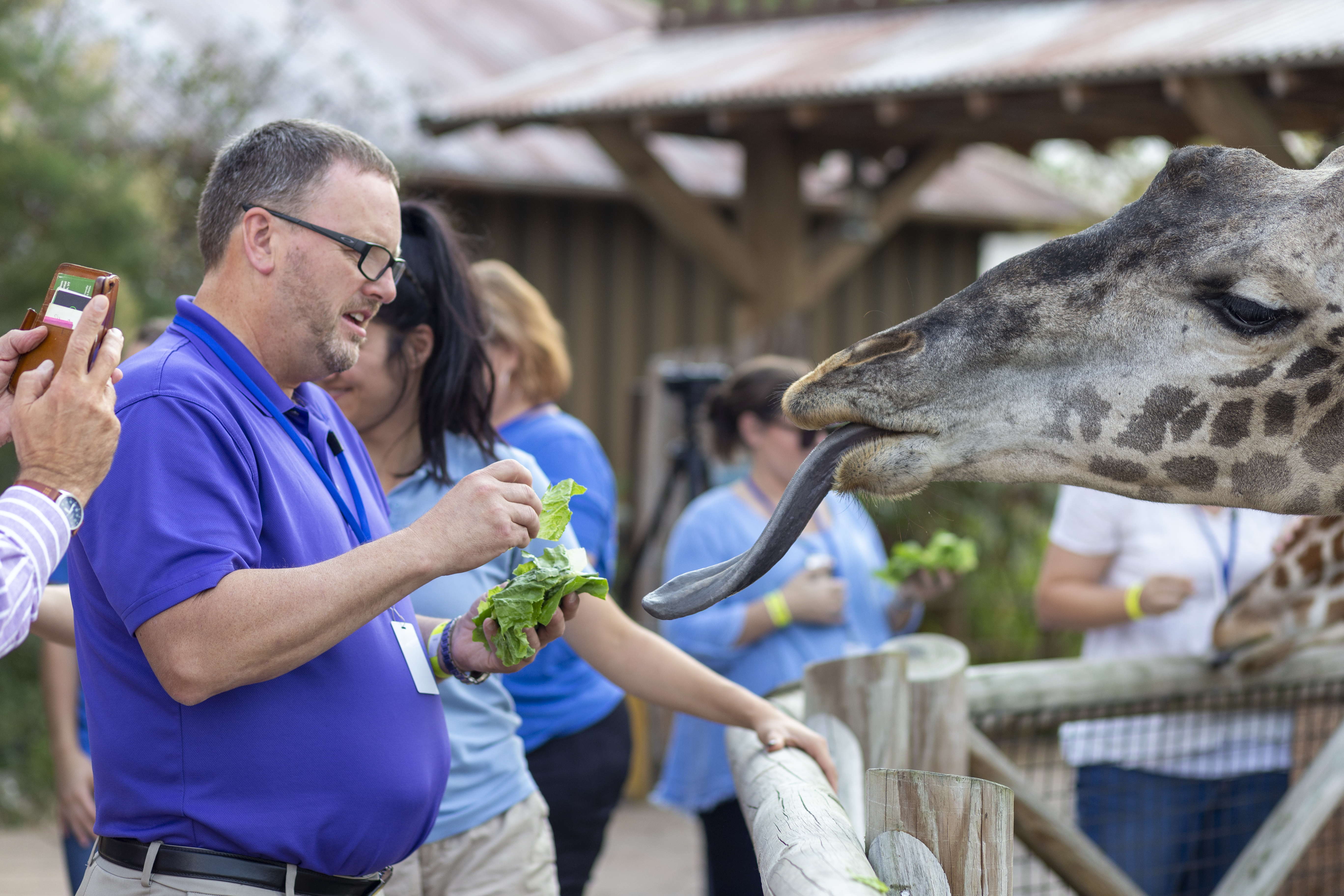 Conference attendees at the zoo with Giraffes