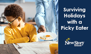 holidays with a picky eater cover image