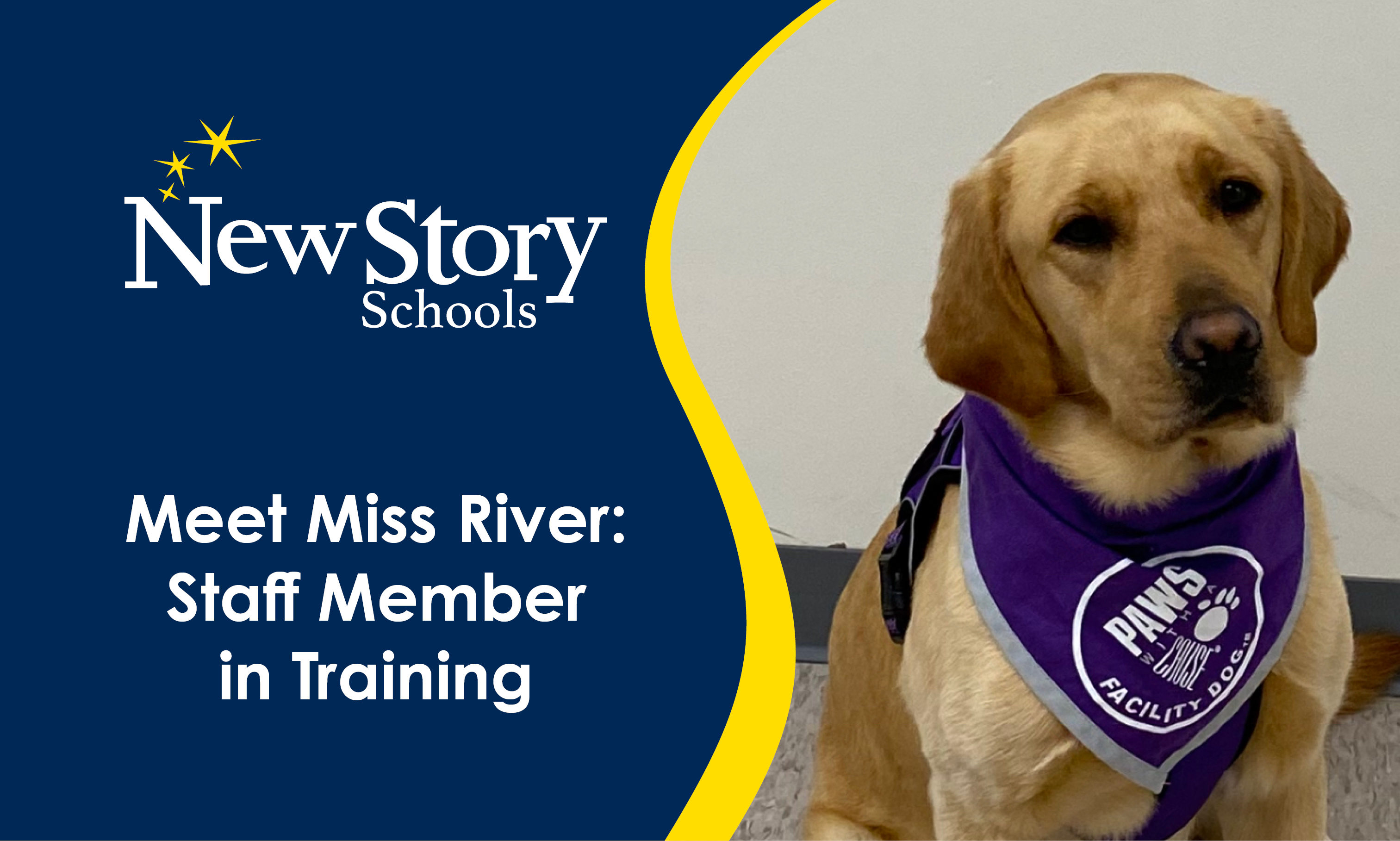 Meet Miss River: Staff Member in Training